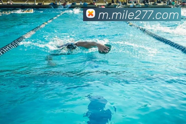 米乐mileAPP 高清赛事图